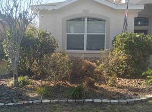 Wendy N.'s Bush Trimming service result