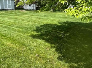 Nikki H.'s turf maintenance service result