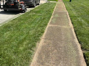 Susan M.'s landscaping services service result