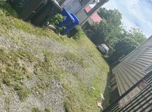 Brenda W.'s lawn maintenance service result