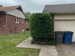 Maria A.'s Bush Trimming service result