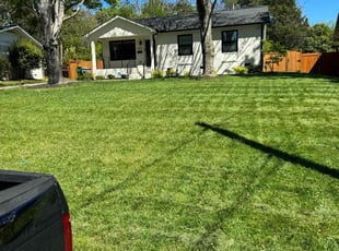 Cyndi H.'s lawn care services service result