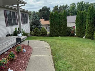 Ryan B.'s lawn service service result