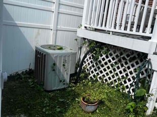 Kia W.'s Bush Trimming service result