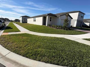 Alexander A.'s lawn care service result