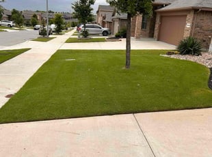 Shivali S.'s turf care service result