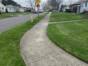 Lisa W.'s yard maintenance service result