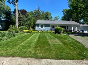 Chad L.'s lawn service service result