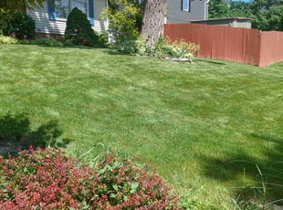 Hannah G.'s lawn service service result
