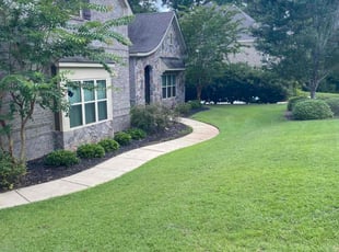Corey G.'s lawn service service result