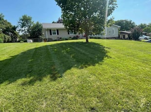 William S.'s lawn maintenance service result