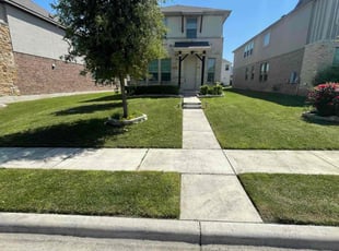 Gilson M.'s grass cutting service result