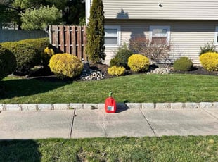 Roeun M.'s turf maintenance service result