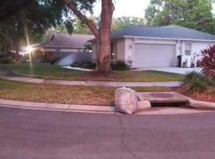 Aurora B.'s Leaf Removal service result