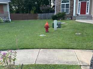 Jaime D.'s grass maintenance service result