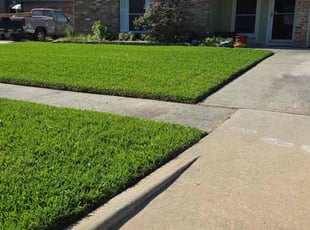 Brian V.'s lawn service service result