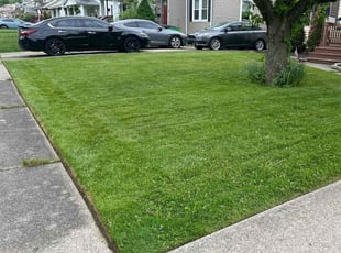 Crystal L.'s lawn maintenance service result
