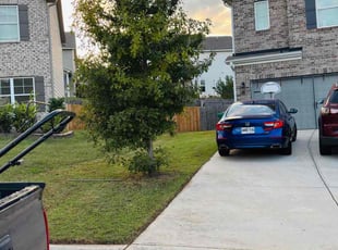 Gail R.'s turf maintenance service result