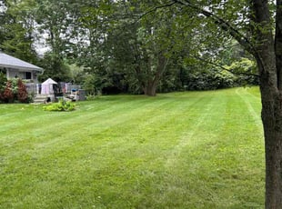 Thomas J.'s grass cutting service result