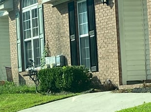 Jay R.'s Bush Trimming service result