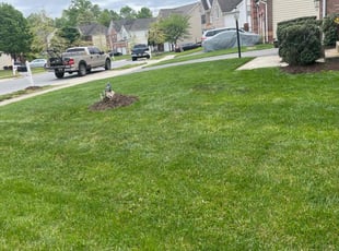 Kelly L.'s grass cutting service result