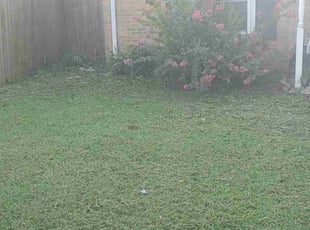 Mark K.'s Long Grass Cleanup service result