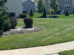 jaswanth K.'s lawn care service result
