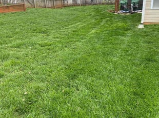 David M.'s lawn care service result