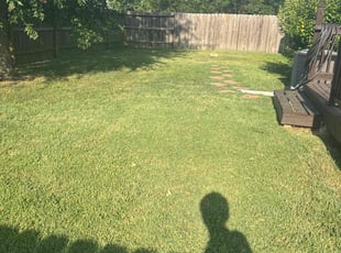 Sean B.'s turf care service result