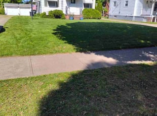 Solomon A.'s turf maintenance service result