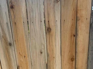 James J.'s lawn maintenance service result