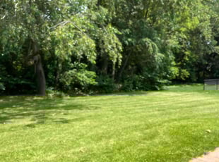 Sudha R.'s lawn care service result