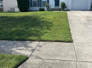 Kandrala M.'s lawn care service result