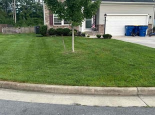 Chyna N.'s grass maintenance service result