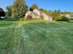 Mario A.'s grass maintenance service result