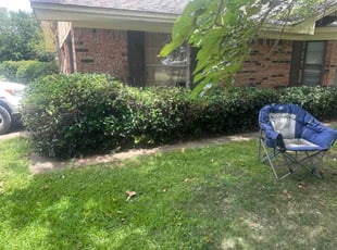 Marie M.'s Bush Trimming service result