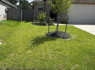 Rick R.'s grass cutting service result