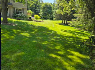 Phillip M.'s lawn maintenance service result