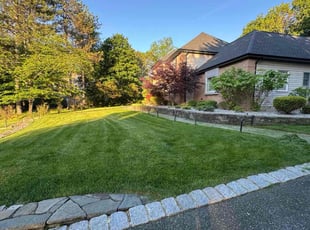Jeanette L.'s turf maintenance service result