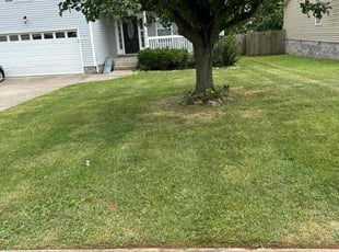 Candi G.'s lawn care services service result
