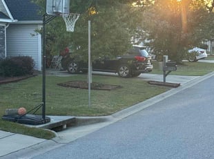 Christian D.'s Leaf Removal service result