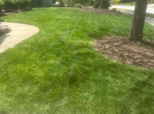 Sander S.'s lawn care services service result