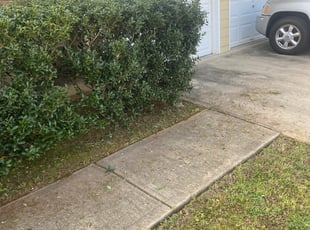 John E.'s Bush Trimming service result