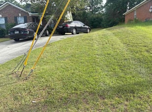 Kindell S.'s lawn care services service result