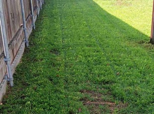 Cynthia A.'s turf maintenance service result