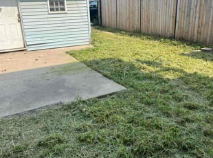 laura n.'s lawn care services service result