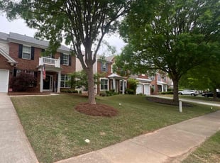 Robert H.'s yard work service result