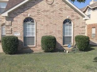 Shehraze S.'s Bush Trimming service result