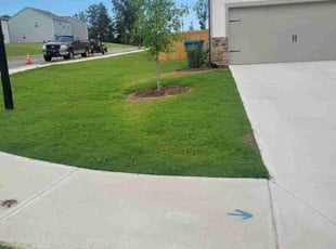 Troy-Ann M.'s lawn care services service result