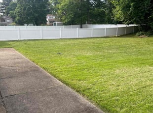 Donna A.'s lawn care service result